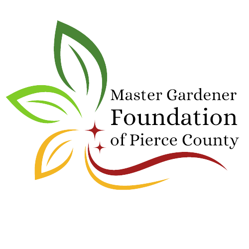 Foundation logo, clear background with black type