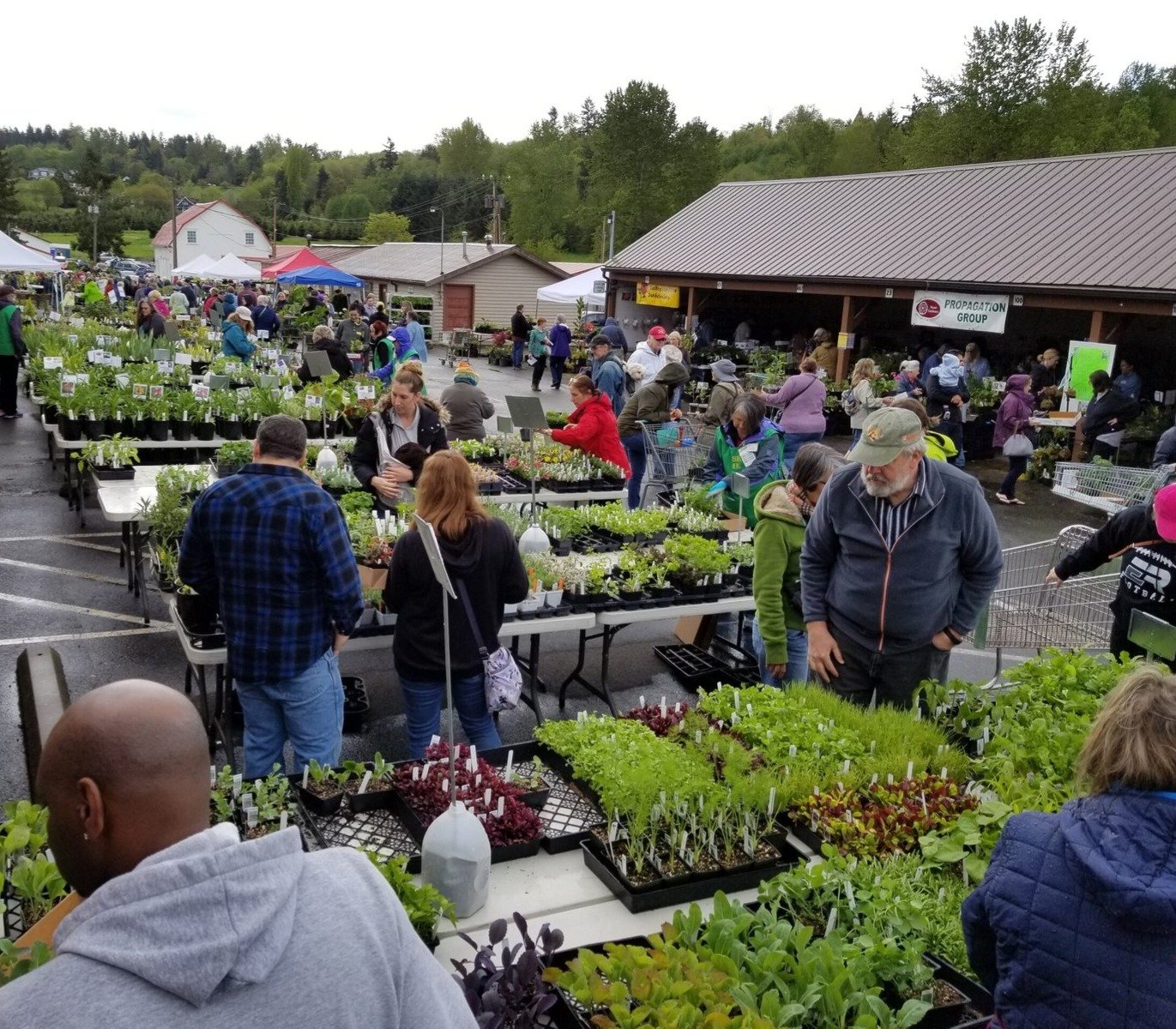 Plant sale people