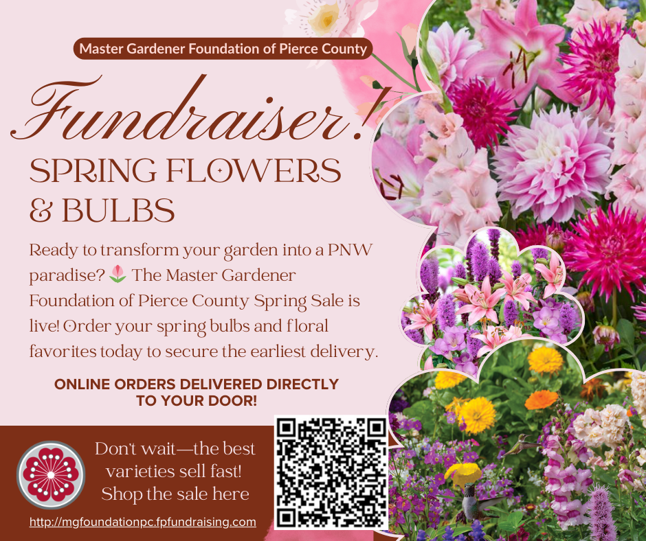 Spring bulb sale flyer